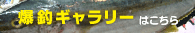 丸銀釣りセンター 爆釣ギャラリー