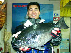 丸銀釣りセンター プロ野球選手の城島さん