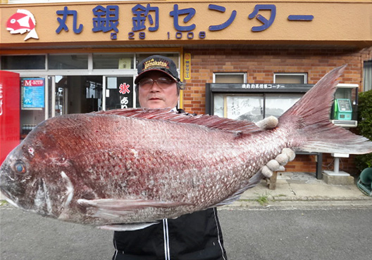 丸銀釣りセンター 大物釣果 マダイ