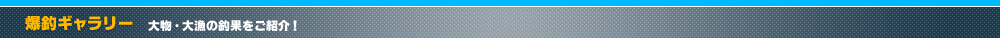 丸銀釣りセンター 爆釣ギャラリー