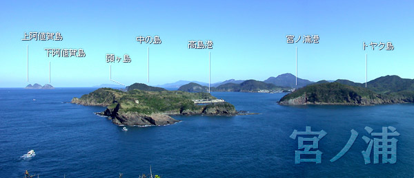 丸銀釣りセンター 釣場マップ